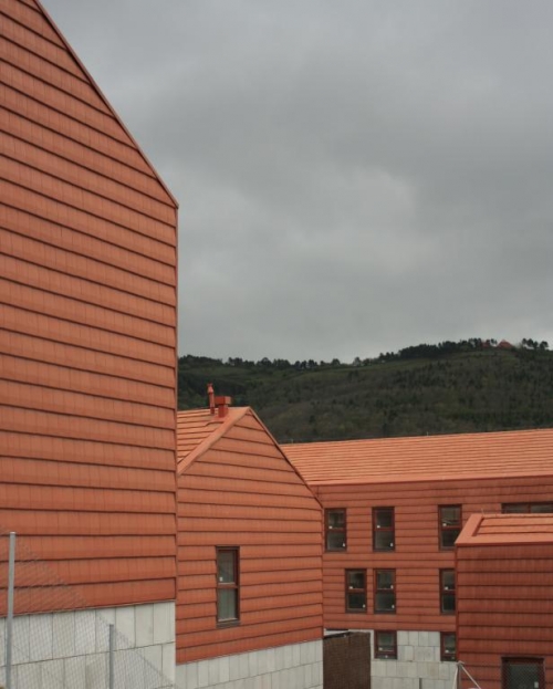 VIVIENDAS VPO ETXEBARRI. Construido 2008