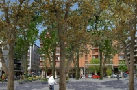 PLAZA DEL AJEDREZ GETXO ESCAURIAZA